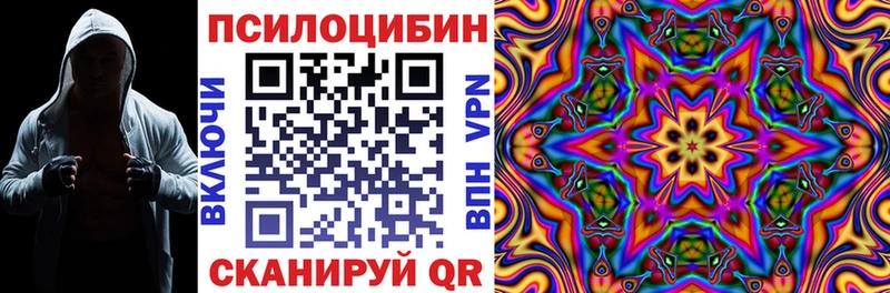 цена наркотик  kraken ТОР  Галлюциногенные грибы ЛСД  Краснослободск 